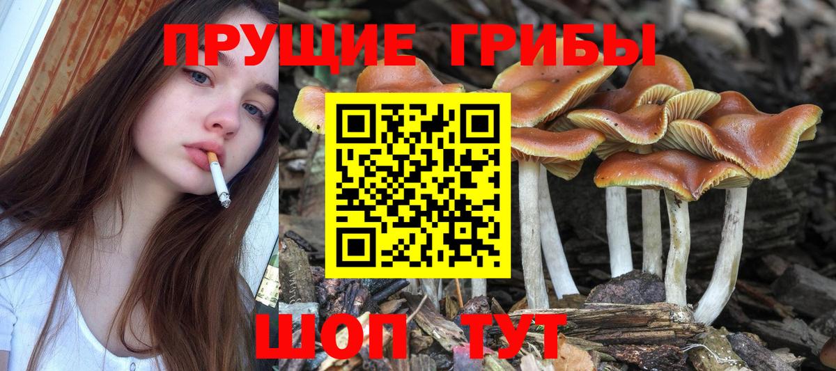 Псилоцибиновые грибы ЛСД Апатиты