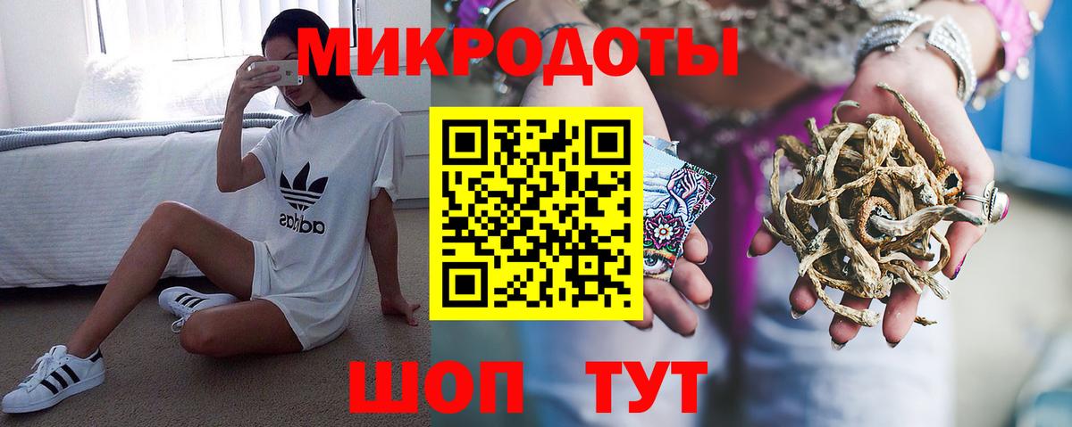 Псилоцибиновые грибы Psilocybine cubensis  Псилоцибиновые грибы прущие грибы  купить  цена  Вход с VPN  Апатиты 